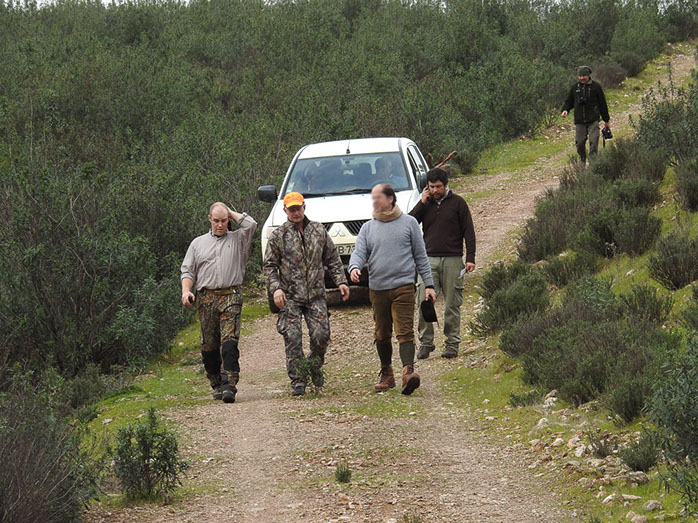 monteria au portugal, entre deux traques