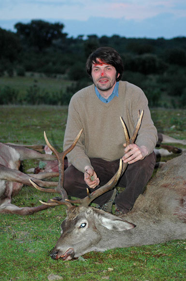 cerf sélectif en petite battue au Portugal