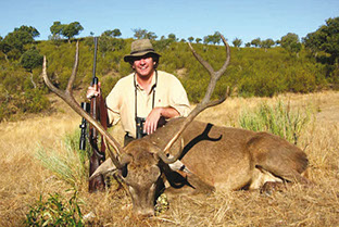 grand cerf sélectif à l'approche