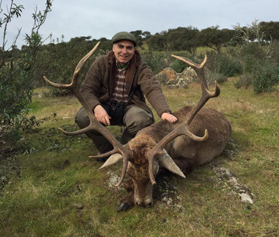 grand cerf tiré en battue