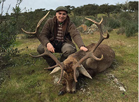 grand cerf tiré en battue