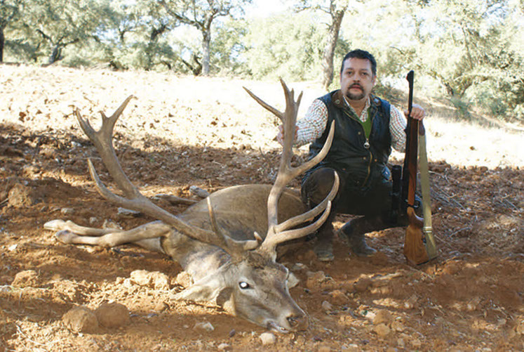 grand cerf chassé en monteria