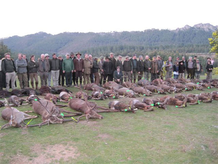 tableau de chasse d'une journée de montéria à Val Feitoso