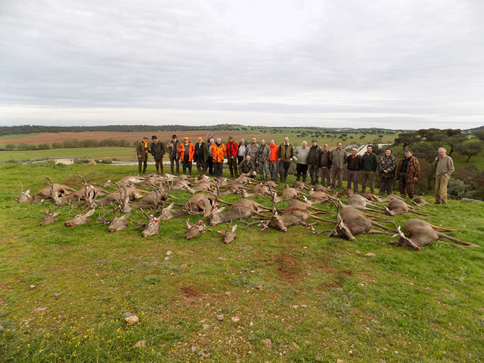 tableau de chasse à Peral