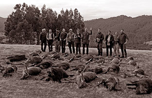petit groupe de chasse en monteria à Val Feitoso