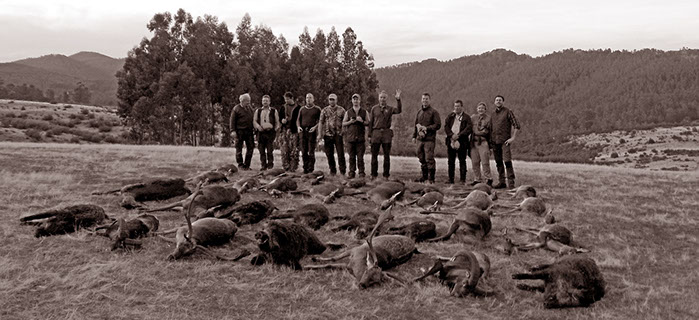 petit groupe de chasse en monteria à Val Feitoso