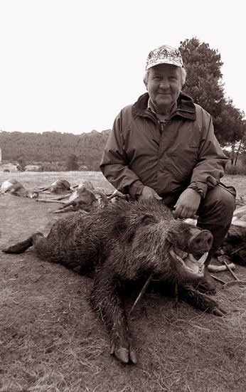 gros sanglier chassé à Val Feitoso