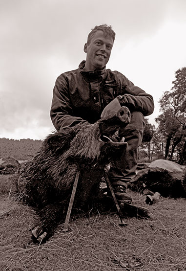gros sanglier chassé en monteria au Portugal