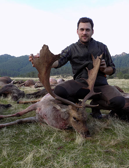 grand daim chassé en monteria au Portugal