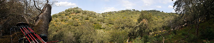 Thierry Loots, Fernando Rosa Dias et un cerf sélectif au Portugal