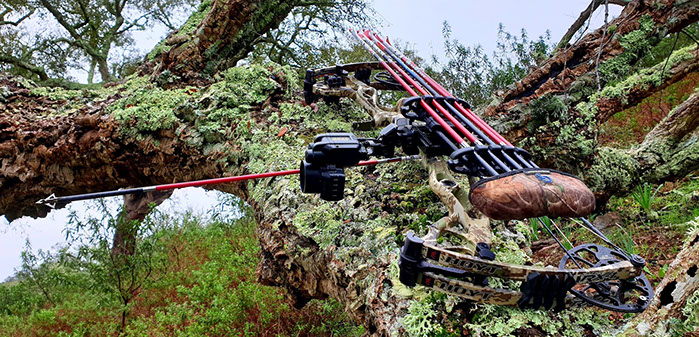 Thierry Loots, Fernando Rosa Dias et un cerf sélectif au Portugal