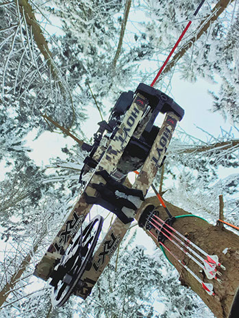 Thierry Loots, Fernando Rosa Dias et un cerf sélectif au Portugal