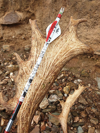Thierry Loots, Fernando Rosa Dias et un cerf sélectif au Portugal