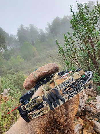 Thierry Loots, Fernando Rosa Dias et un cerf sélectif au Portugal