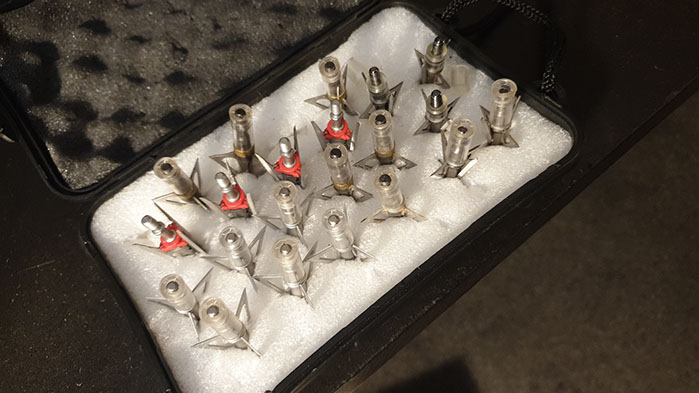 Thierry Loots, Fernando Rosa Dias et un cerf sélectif au Portugal